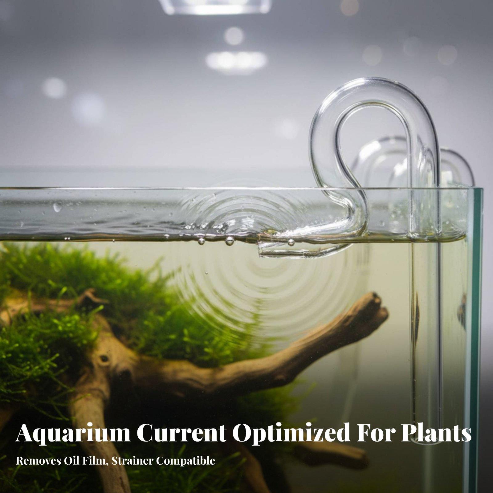 Glass Lily Pipe Aquarium Surfa - Aquarium Planted Tank Filter 评论和价格