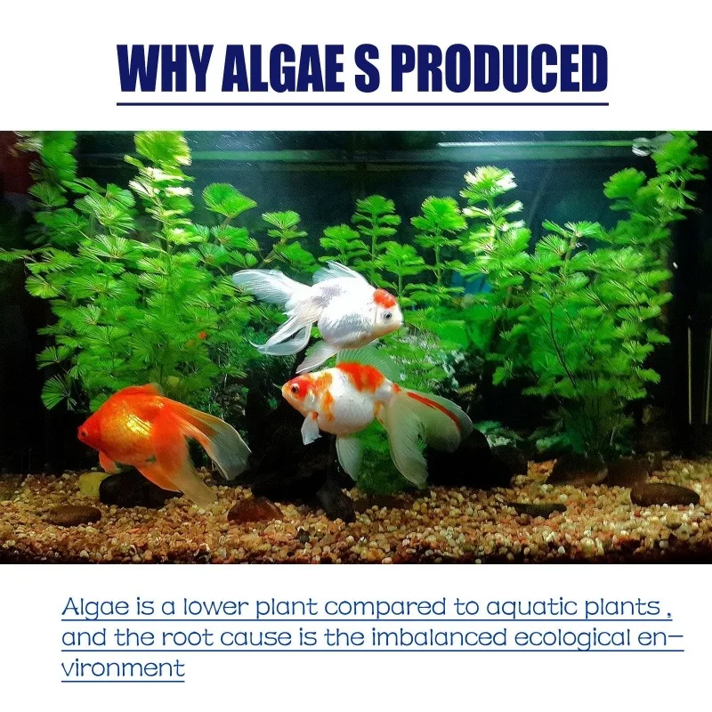 50g High Efficiency Algaecide  - Planted Aquarium Supplies 评论和价格