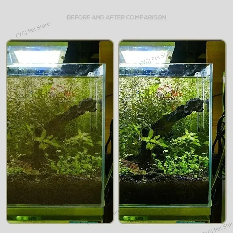 Fish Tank Cleaning Tool Flat S - Planted Aquarium Maintenance Kit 评论和价格