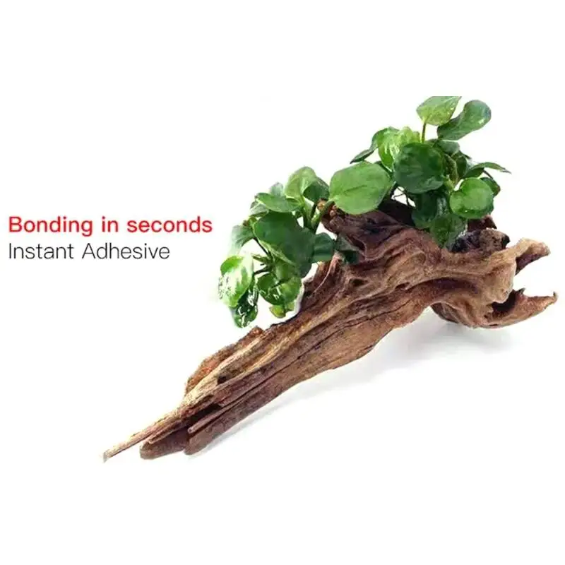 2PCS 5PCS /3/ Moss Clear Glues - Aquarium Plant Glue 评论和价格