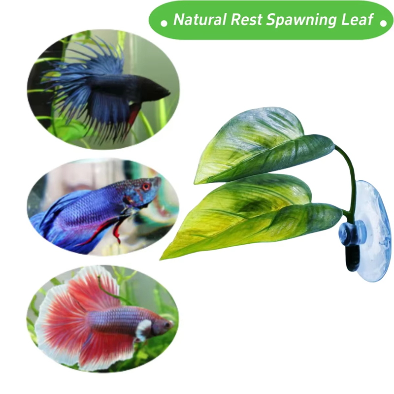 Aquarium Pet Supplies Decorati - Planted Aquarium Supplies 评论和价格