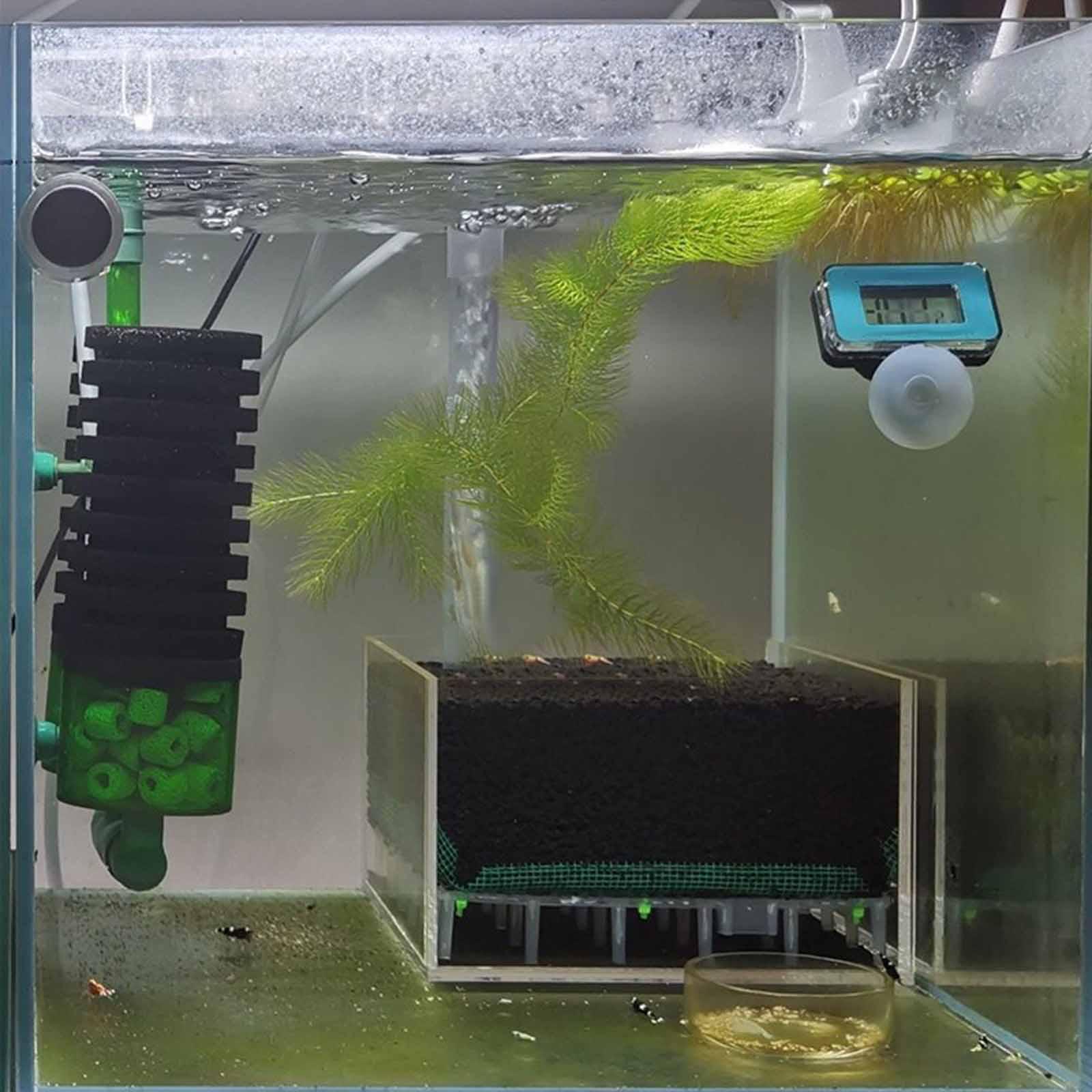 Transparent Acrylic Aquarium F - Planted Aquarium Undergravel Filter 评论和价格