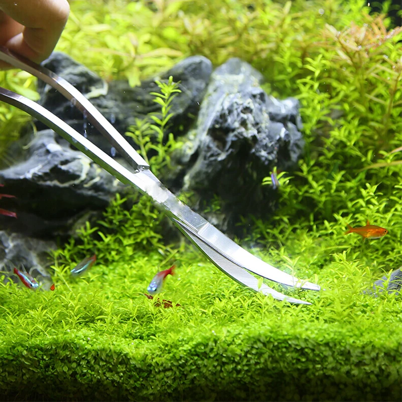 Aquarium Scissor Tools Fish Ta - Planted Aquarium Maintenance Kit 评论和价格