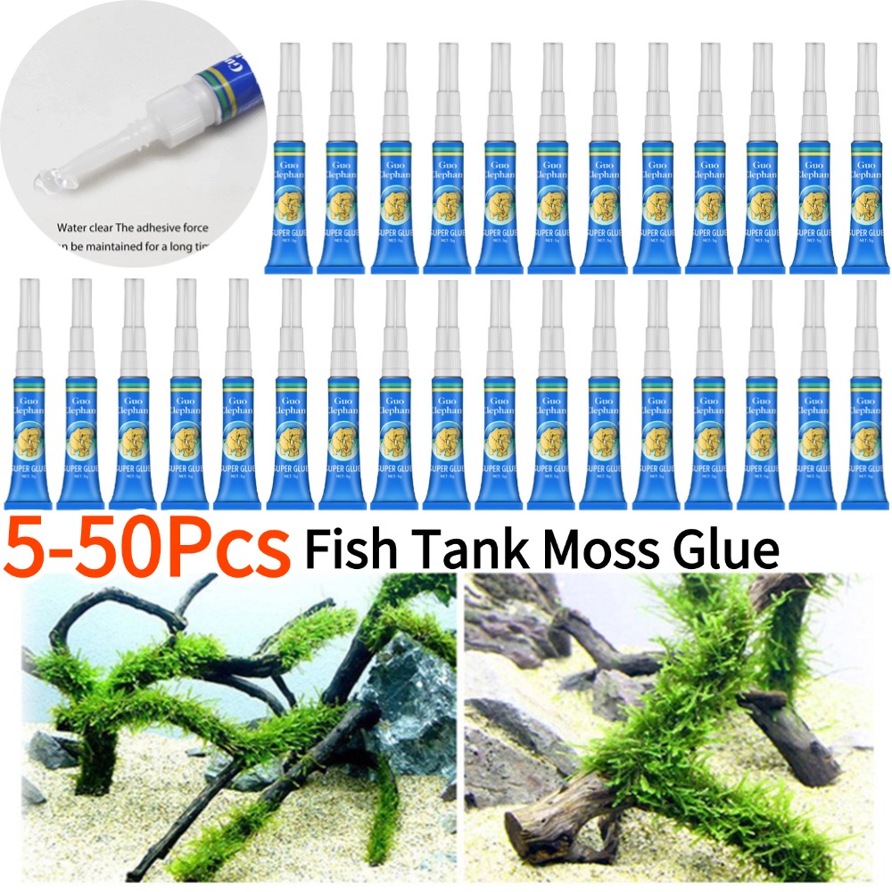 50-5Pcs Fish Tank Landscaping  - Aquarium Plant Glue 评论和价格