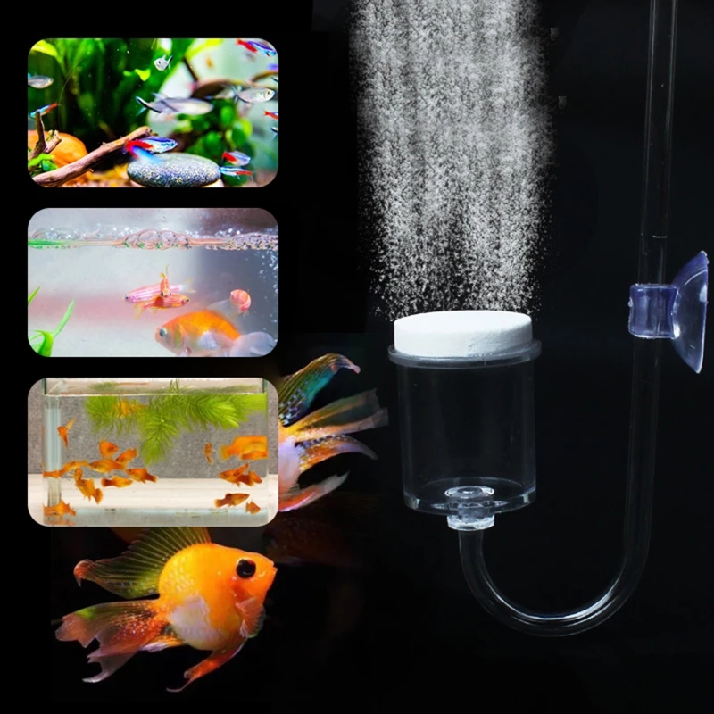 4pcs Set DIY CO2 Diffuser For  - Planted Aquarium Supplies 评论和价格